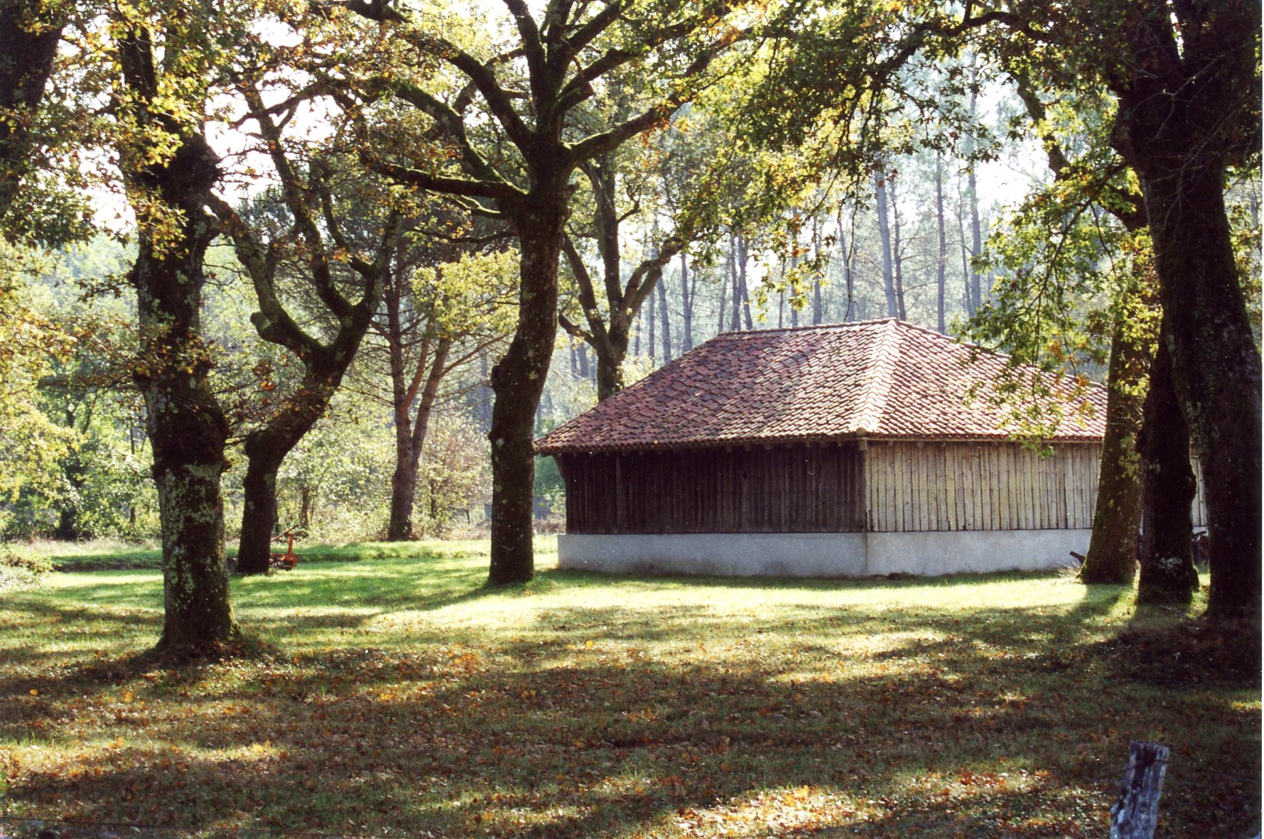 Paysages Landais Caue